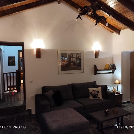 Litheon House Villa Synikia Mesi Trikalon Exteriör bild