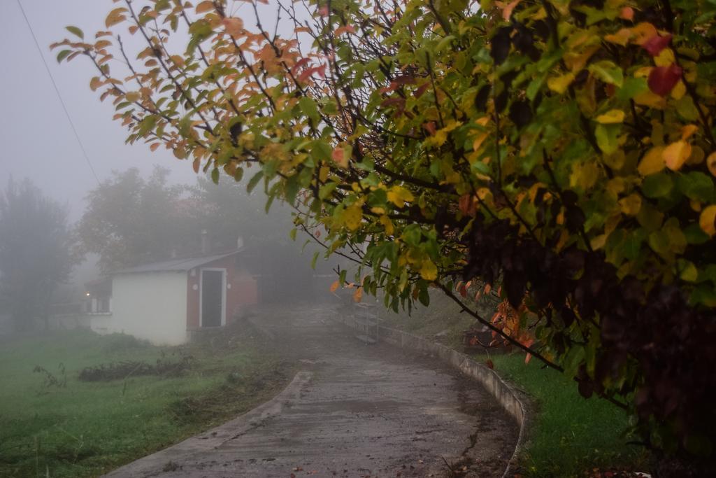 Litheon House Villa Synikia Mesi Trikalon Exteriör bild