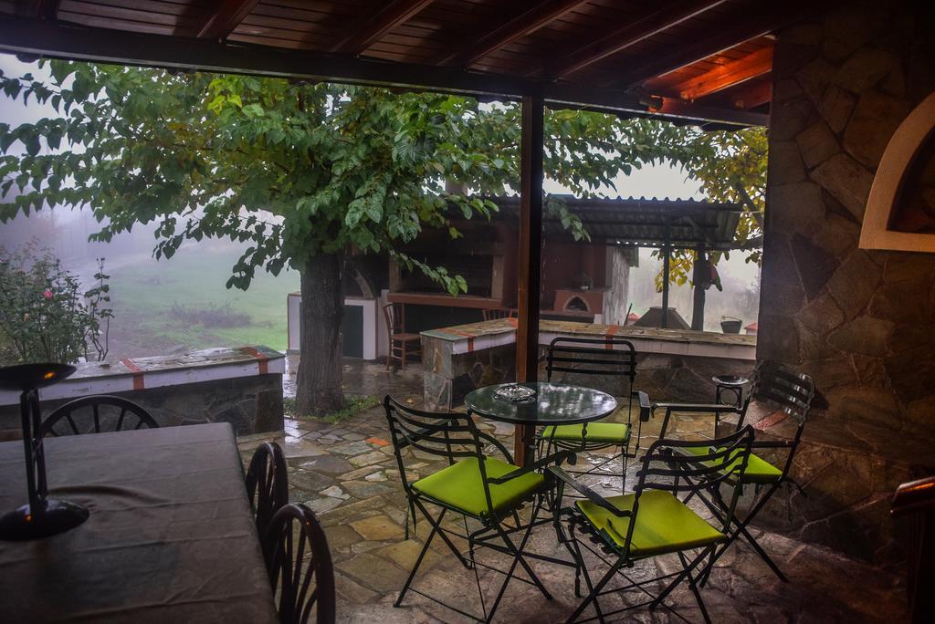 Litheon House Villa Synikia Mesi Trikalon Exteriör bild