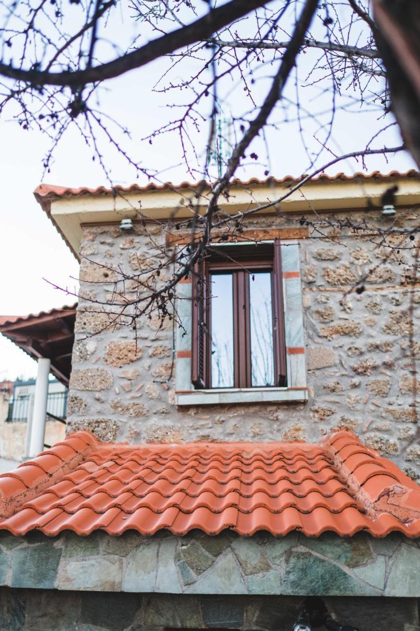 Litheon House Villa Synikia Mesi Trikalon Exteriör bild
