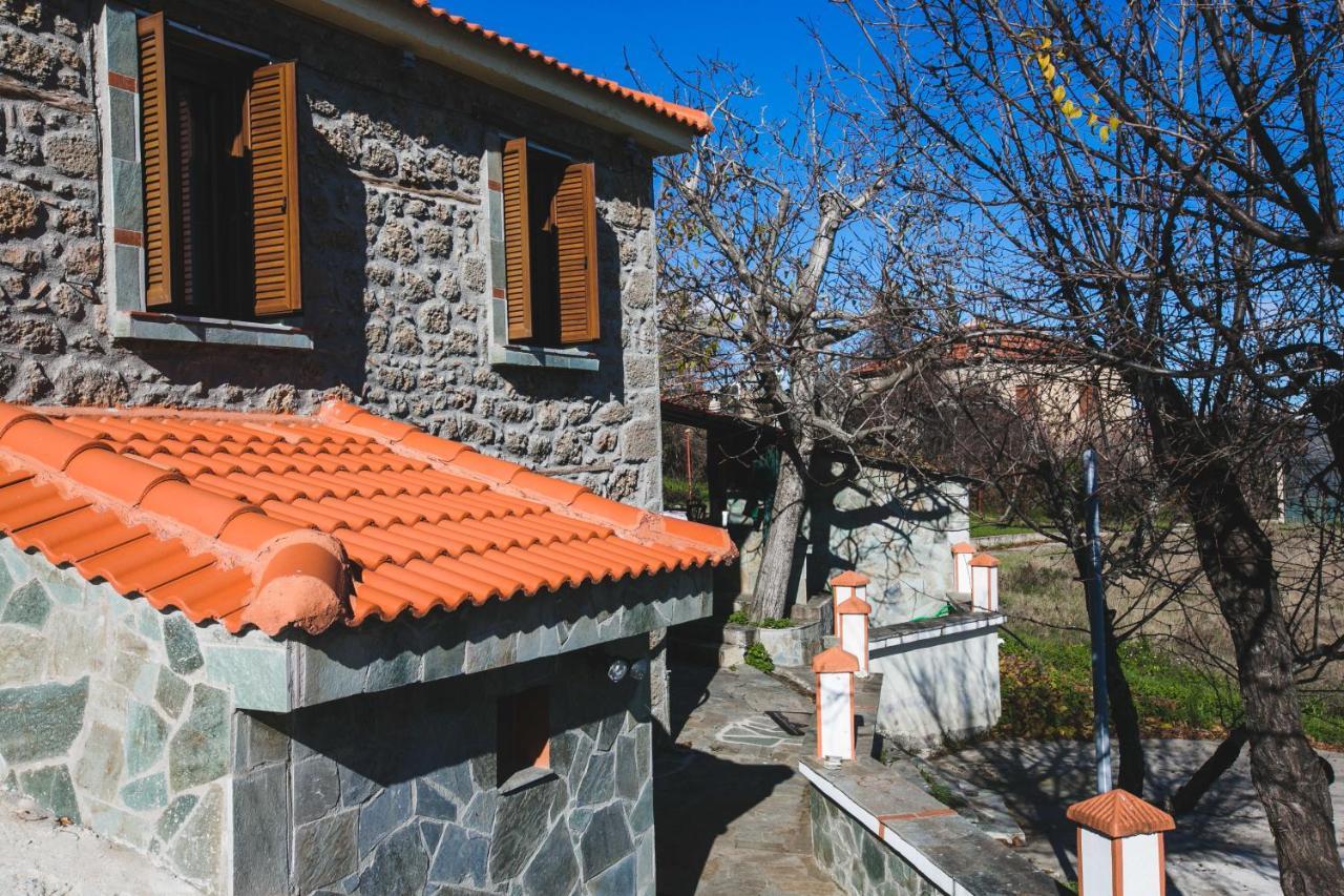 Litheon House Villa Synikia Mesi Trikalon Exteriör bild